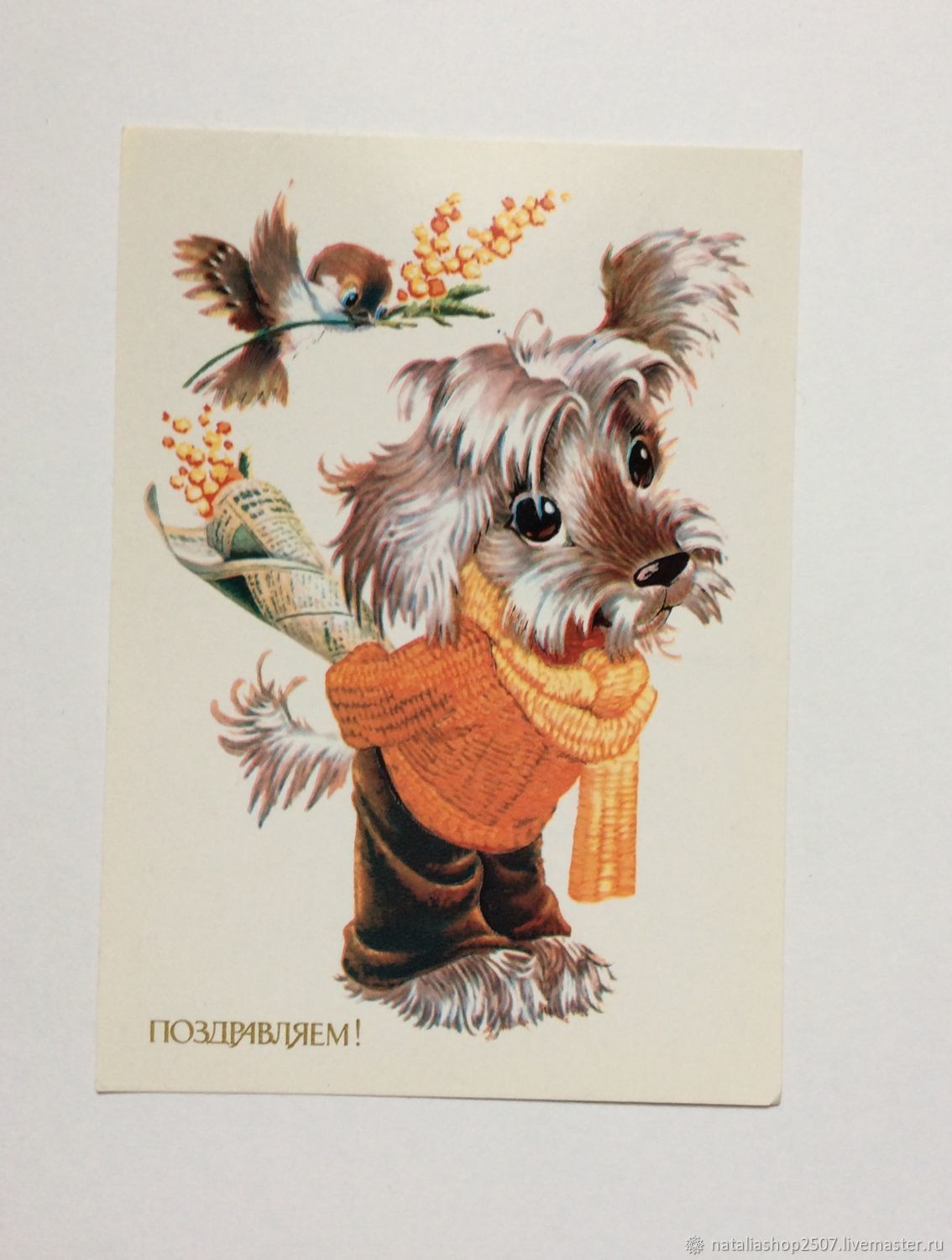Советские открытки жизни