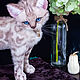Игрушка кот. Снежный бенгальский котик. Мягкие игрушки. Игрушки ручной работы| Юлия Дынер. Интернет-магазин Ярмарка Мастеров.  Фото №2