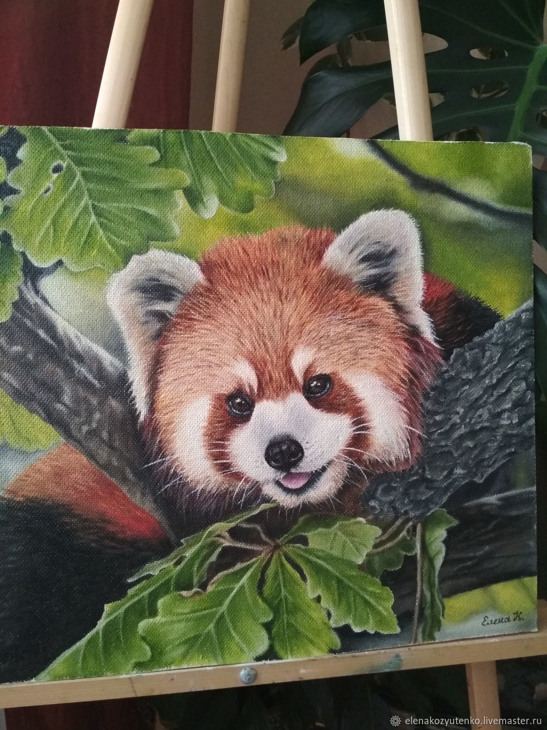 Red panda картины