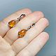 Silver earrings with amber, Earrings, Moscow,  Фото №1