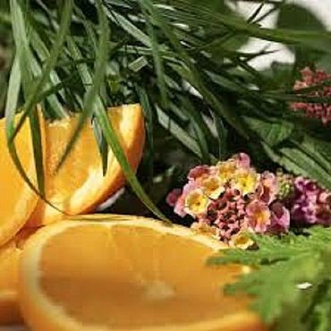 Материалы для творчества ручной работы. Ярмарка Мастеров - ручная работа Lemongrass and Verbena Citronella (Лемонграсс и Вербена) CandleScience. Handmade.