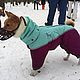 Зимний утепленный комбинезон. Одежда для собак. Басенджи. Одежда для питомцев. Зооателье 'Веселый хвост'. Ярмарка Мастеров.  Фото №4