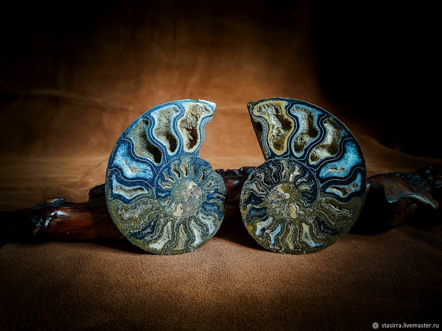 Аммониты черные крупные. Пара купить в интернет-магазине Ярмарка Мастеров по цене 10000 ₽ – X3042RU, Минералы, Чебоксары - доставка по России