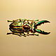Заказать Брошь № 7 Жук-олень. Brooch № 7 Lucanus. Сергей Август (AugS). Ярмарка Мастеров. . Брошь-булавка Фото №3