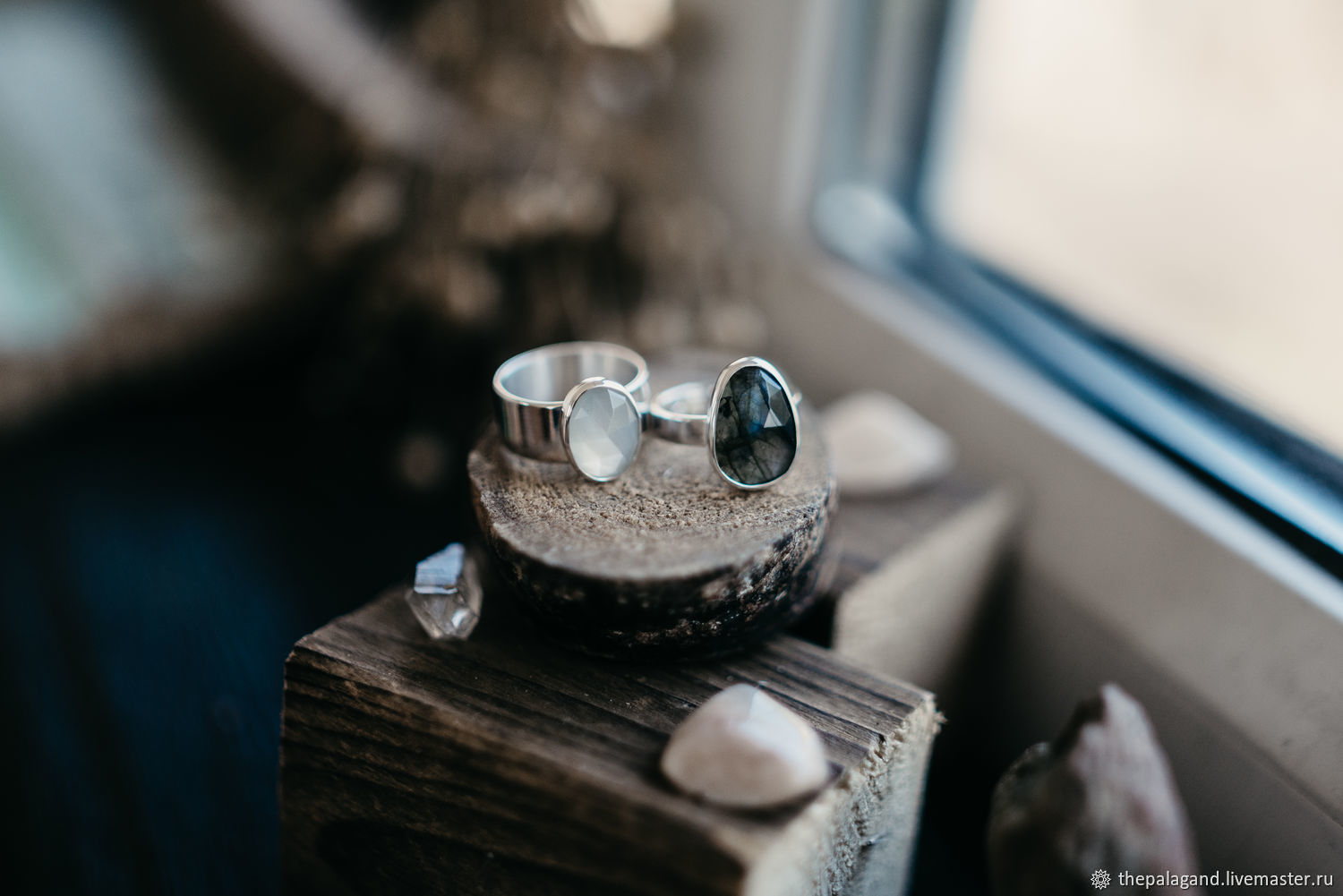 текстура кольца. кольца темрюк. фон вековые кольца. кольца темрюк. колечко луны фото.