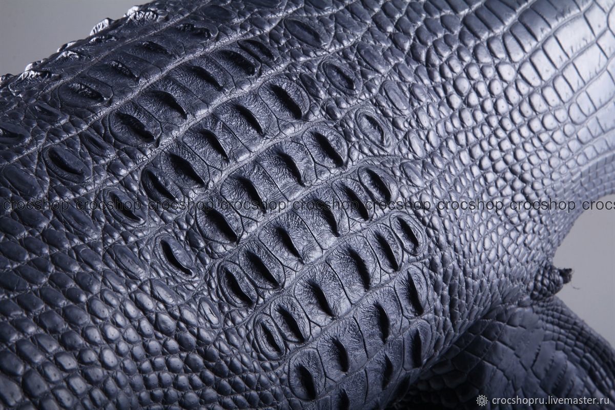 Crocodile skin cheap