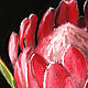  Proteus Flower. Original. Pastel. Pictures. Valeria Akulova ART. My Livemaster. Фото №4