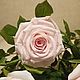 Bouquet of roses ' Persea', Flowers, Moscow,  Фото №1