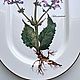 Заказать Villeroy & Boch Блюдо Botanica. Porzellan style. Ярмарка Мастеров. . Тарелки винтажные Фото №3