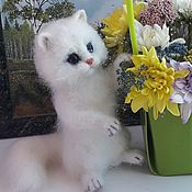 Kitten made of wool with a gift for You