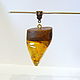 Amber. Pendant amber and mahogany 559, Pendants, Svetlogorsk,  Фото №1