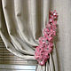 Pick-up for curtains 'PARADISE 3', Grips for curtains, Moscow,  Фото №1
