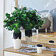 Vase 'Black & White'. Vases. Hill & Mill. Online shopping on My Livemaster.  Фото №2