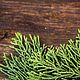 Black Cedarwood & Juniper (Черный кедр и можжевельник) The Flam, Ароматизаторы, Самара,  Фото №1