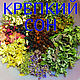 Крепкий сон. Травяной сбор, Травы, Набережные Челны,  Фото №1