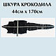 Кожа крокодила чёрная В НАЛИЧИИ, Кожа, Краснодар,  Фото №1