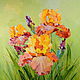 Oil painting on canvas. Irises in the grass, Pictures, Moscow,  Фото №1