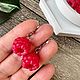 Серьги ягодки малинки. Ручная работа из полимерной глины, Серьги классические, Барнаул,  Фото №1
