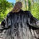 Шуба из темно-коричневой норки. Шубы. Stylish mink. Ярмарка Мастеров.  Фото №7