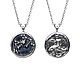 Pendant, Zodiac sign Aquarius on a chain, 925 silver, Pendants, Moscow,  Фото №1