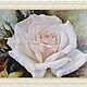 White rose. Pictures. Irene's gallery. Oil paintings.. Online shopping on My Livemaster.  Фото №2