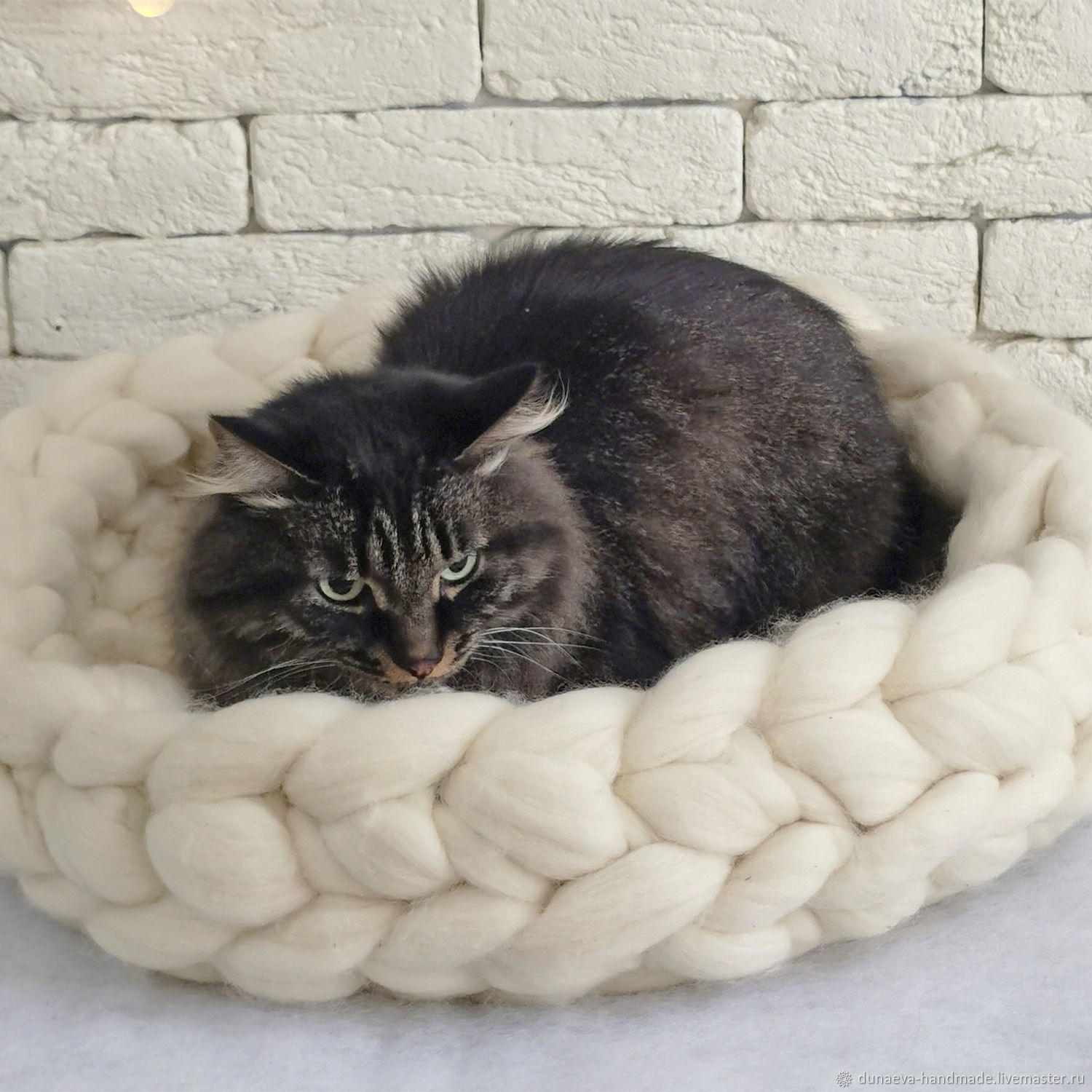 Спальное место для кота — как выбрать постель для кошки по размеру, какие лежанки любят коты
