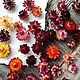 Helichrysum, dried flowers AVAILABLE. Dried flowers for creativity. alisbelldoll (alisbell). Online shopping on My Livemaster.  Фото №2