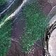 Заказать Панно из стабилизированного мха Робот Лапуты. Елена EpoxyG. Ярмарка Мастеров. . Элементы интерьера Фото №3