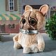  Doggie Bulldog Doggie. Toys. elena-kuvaldina. Online shopping on My Livemaster.  Фото №2