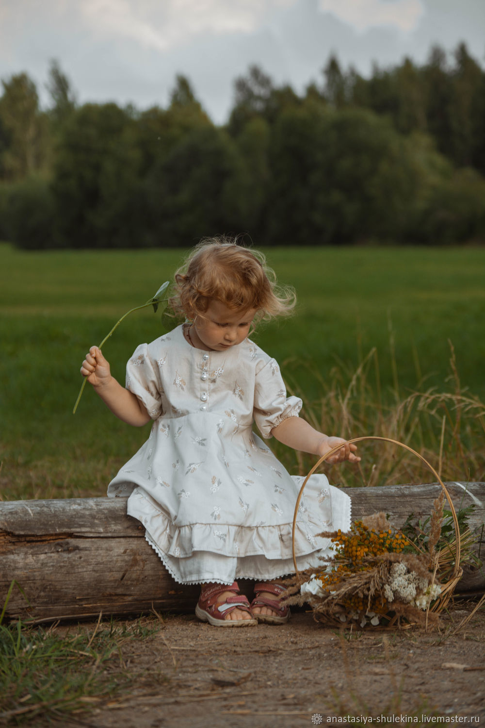 Платье: Платье Анна из натурального хлопка в интернет-магазине на ...