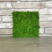 Дизайн и реклама handmade. Livemaster - original item Panel made of stabilized moss 30*30 grade 