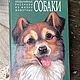 Винтаж: "Собаки-Волки". Необычайные рассказы из жизни животных, Книги винтажные, Москва,  Фото №1