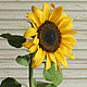 Sunflower polymer clay. Sunflower from cold porcelain. Modeling realistic colors
