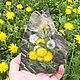 Magnet Jasper Dandelions hand painted, Magnets, Zmeinogorsk,  Фото №1