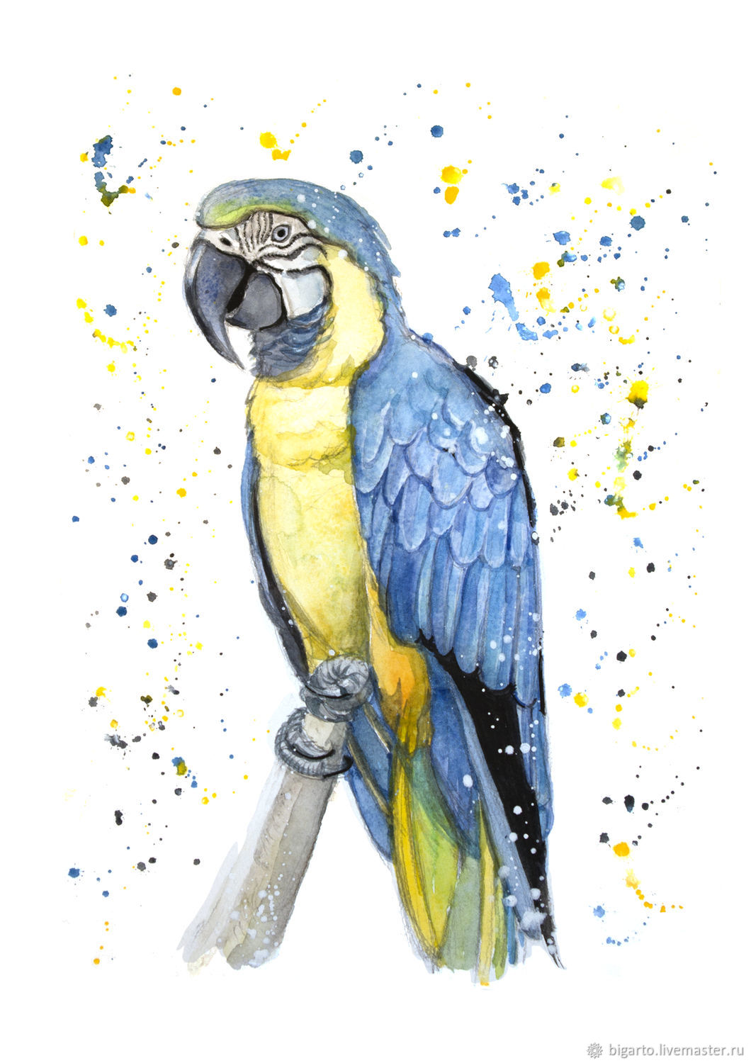 Синий попугай рисунок