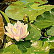 Order Oil painting on canvas. Water lilies. Painting gallery of Metsenatova Val. Livemaster. . Pictures Фото №3