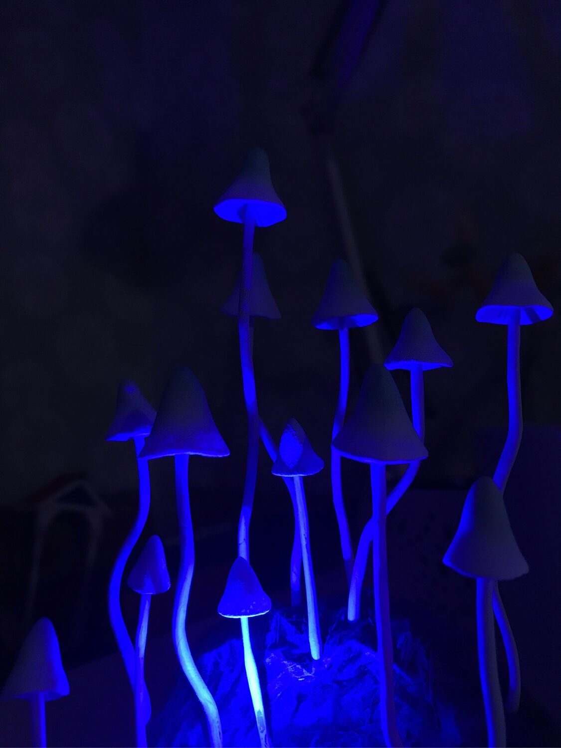 Ночник Грибы – купить на Ярмарке Мастеров – RBFPIRU | Ночники, Санкт ...