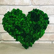 Сувениры и подарки handmade. Livemaster - original item Heart made of stabilized moss 30*35 cm. Handmade.