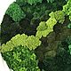 Order Round phytocart of different types of moss 100 cm. Антонина Литовкина - Озеленение (Планета Флористики). Livemaster. . Moss Фото №3