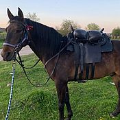 Зоотовары handmade. Livemaster - original item Hunting saddle or big Cossack on a cavalry lunch. Handmade.