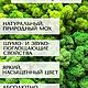 Заказать Фито панель из стабилизированного мха Ягель, 30 на 30 см. Irina-lapina-2. Ярмарка Мастеров. . Декоративные панели Фото №3