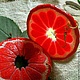 Серьги из полимерной глины КИСЛО РОТ. Серьги классические. Татьяна Паршикова (seventh-heaven). Ярмарка Мастеров.  Фото №4