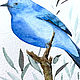 Order 'Ultramarine' watercolor painting (birds, blue, light blue). Nadezda Perova. Livemaster. . Pictures Фото №3