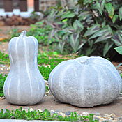 Дача и сад handmade. Livemaster - original item Pumpkin made of concrete Butternut and Muscat de Provence to the real value. Handmade.