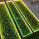 Заказать Стена из мха с подсветкой | панно со мхом 240*60см. Green.Box. Ярмарка Мастеров. . Фитокартины Фото №3