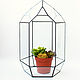 Заказать Florarium. Geométrica florero para florariuma. Florarium para las plantas. Glass Flowers. Ярмарка Мастеров. . Florariums Фото №3