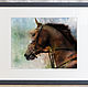 watercolor - Horse. Pictures. Artgrafika. Online shopping on My Livemaster.  Фото №2