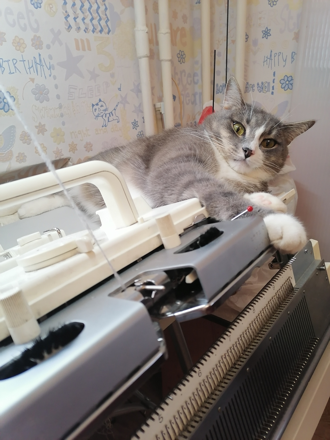 Начало работы
