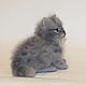 felted cat 'Marcus'. Felted Toy. Anna Petinati- Live toys handmade. My Livemaster. Фото №5