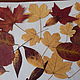 Набор осенних листьев. Сухоцветы для творчества. Красота природы. Интернет-магазин Ярмарка Мастеров.  Фото №2